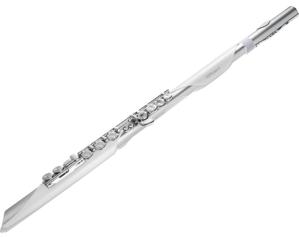 Roland Aerophone AE-Brisa