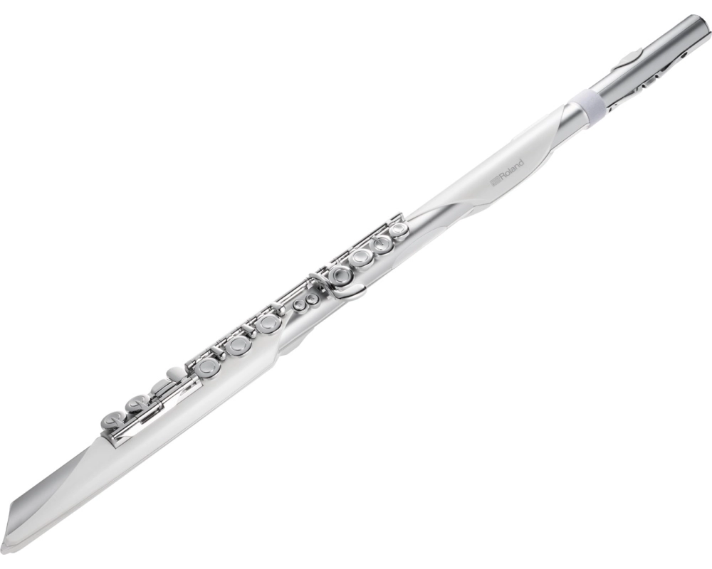 Roland Aerophone AE-Brisa