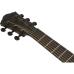Ibanez AEG621-BOT Black Out