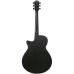 Ibanez AEG621-BOT Black Out