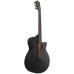 Ibanez AEG621-BOT Black Out