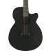 Ibanez AEG621-BOT Black Out