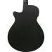 Ibanez AEG621-BOT Black Out