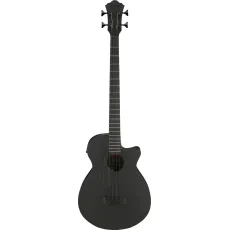 Ibanez AEGB420-BOT Black Out
