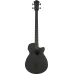 Ibanez AEGB420-BOT Black Out
