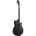 Ibanez AEGB420-BOT Black Out