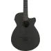 Ibanez AEGB420-BOT Black Out