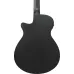 Ibanez AEGB420-BOT Black Out