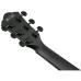 Ibanez AEWC621-BOT Black Out