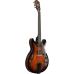Ibanez ASH300-TBC Tobacco Brown