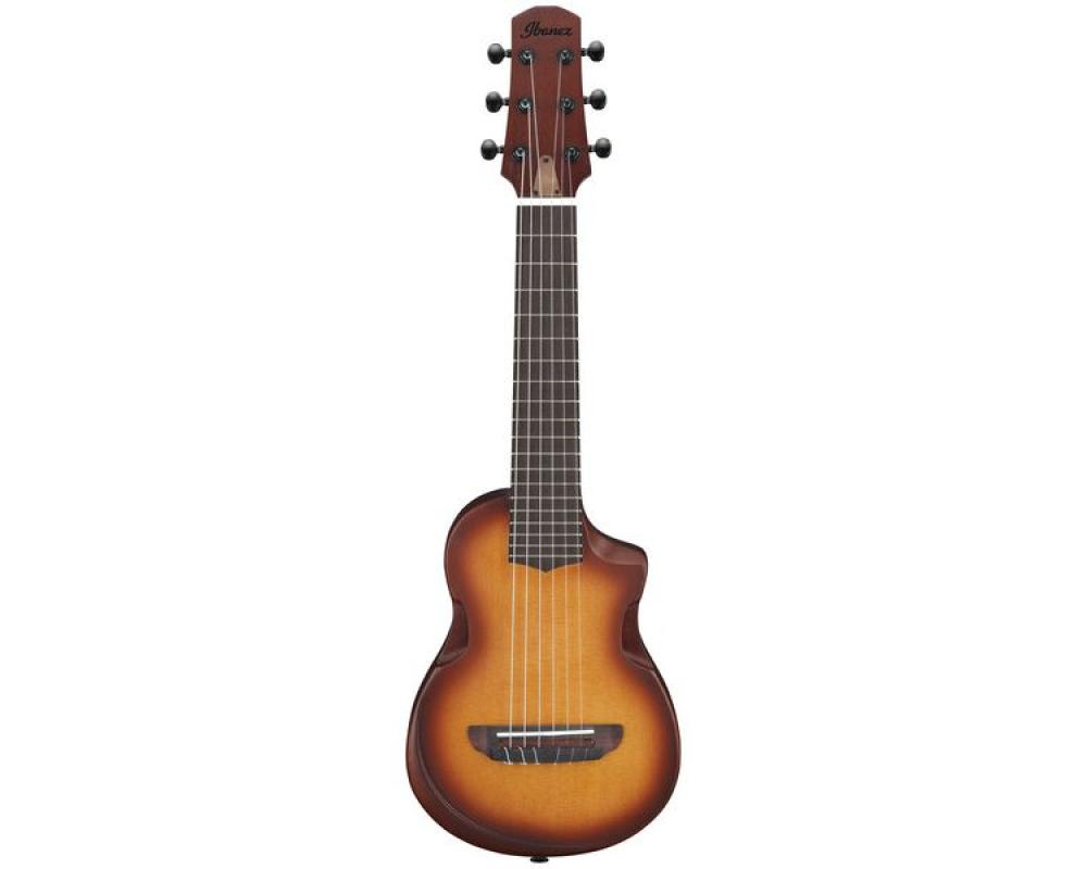 Ibanez AUP10N-OLB Light Brown Sunburst