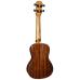 Barnes and Mullins Concert Ukulele Electro - Walnut