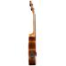Barnes and Mullins Concert Ukulele Electro - Walnut