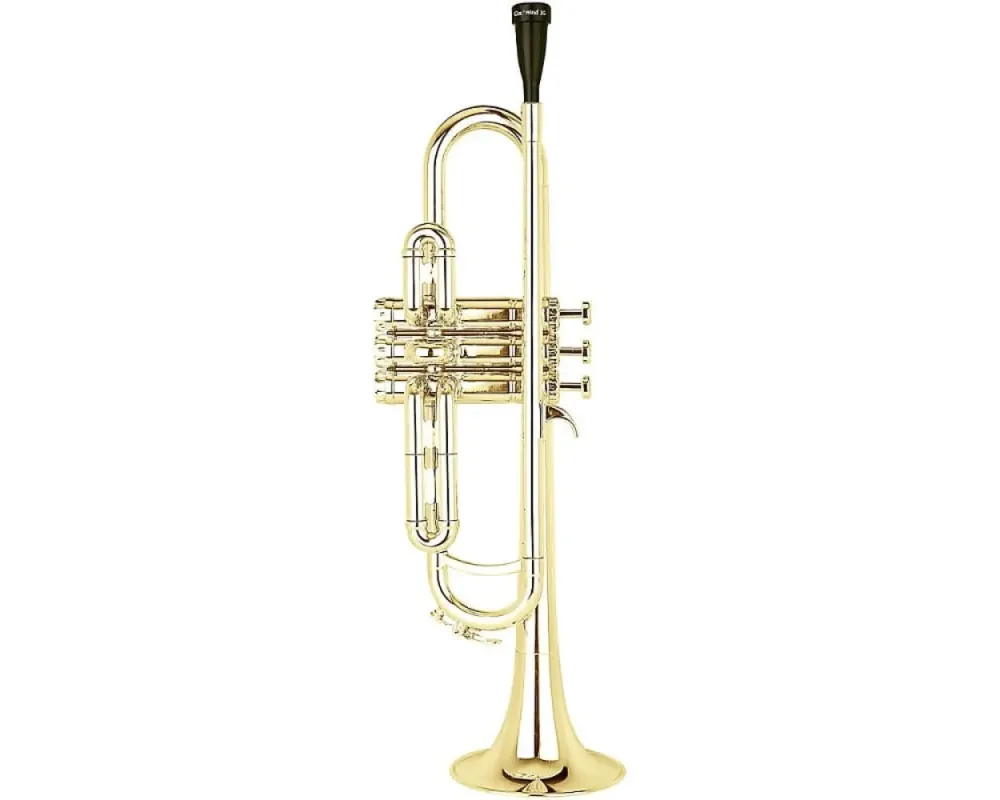CoolWind CTR-200-GP Sib Gold With Bag