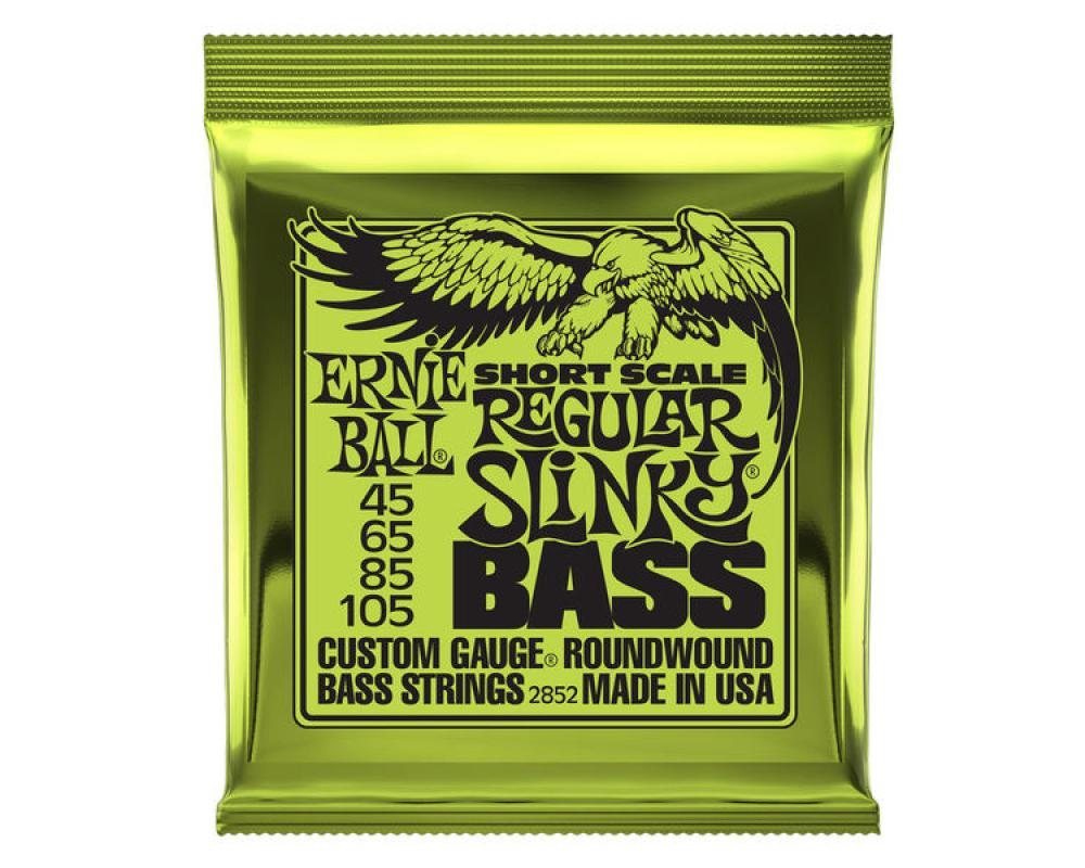 Ernie Ball 2852 Regular Slinky Short