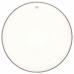 Remo Encore 20 Amba. Coated BD