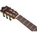 Ibanez GA360TCE-TBK Black transparent