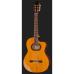 Takamine GC6CE Natural
