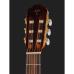 Takamine GC6CE Natural