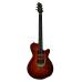 Godin XTSA Lightburst Flame With Bag