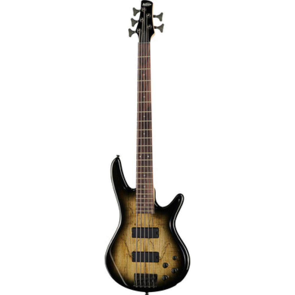 Ibanez GSR205SM-NGT Natural Gray Burst