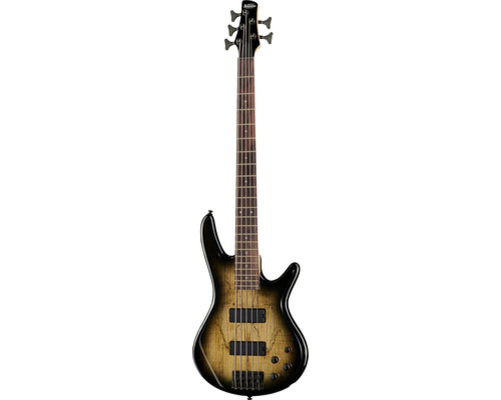 Ibanez GSR205SM-NGT Natural Gray Burst