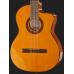 Takamine GC1CE-NAT