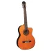 Takamine GC5CE Natural high gloss