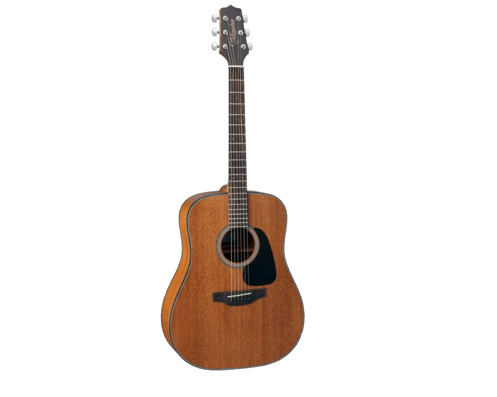Takamine GD11M-NS