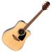 Takamine GD15CE-NAT