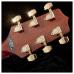 Takamine GD15CE-NAT