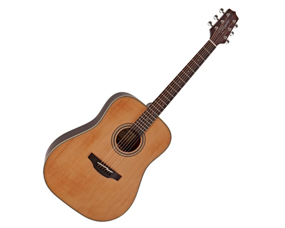 Takamine GD20-NS