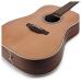 Takamine GD20-NS