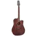 Takamine GD21CE SM Molasses matt