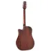 Takamine GD21CE SM Molasses matt