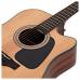 Takamine GD30CE-NAT