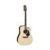 Takamine GD51CE-Natural  high gloss