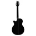 Takamine GF30CE Black high gloss