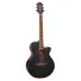 Takamine GF49CE CB Cosmic Black Sparkle high-gloss