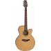 Takamine GD20CE Natural matte