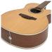Takamine GD20CE Natural matte
