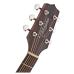Takamine GD20CE Natural matte