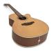 Takamine GD20CE Natural matte