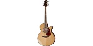 Outras guitarras acústicas