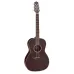 Takamine GY21E SM Molasses matt