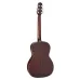 Takamine GY21E SM Molasses matt