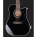 Takamine EF341SC Black, high-gloss,w/Softcase
