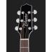 Takamine EF341SC Black, high-gloss,w/Softcase