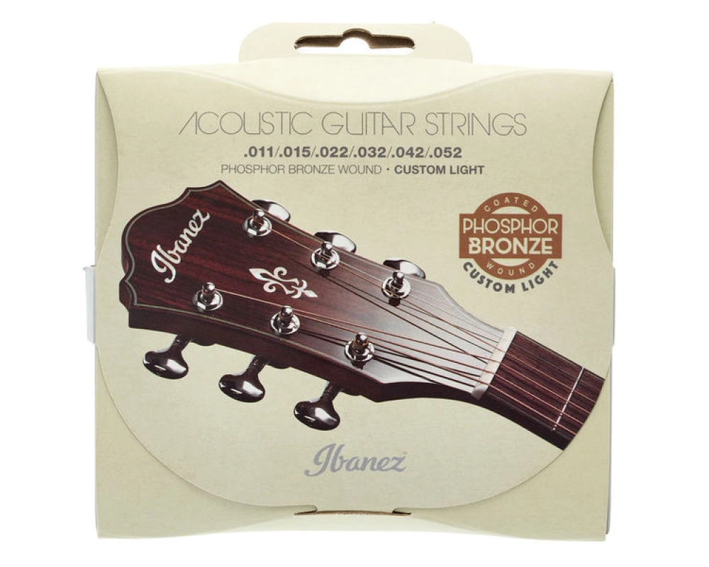 Ibanez IACSP62C Acoustic Steel