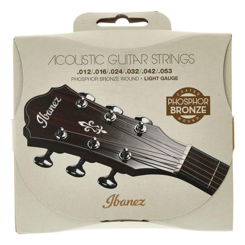 Ibanez IACSP6C Acoustic Steel Strings